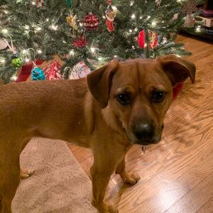 Meet your Posher, Gina